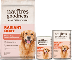 Dog Puppy Pet Everything Coles Online