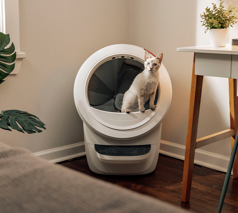 Cat entering Litter-Robot™ by Whisker, an automatic litter tray for cats.