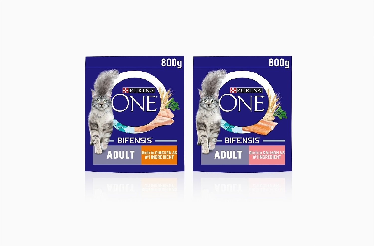 Purina ONE Rich in Salmon800g